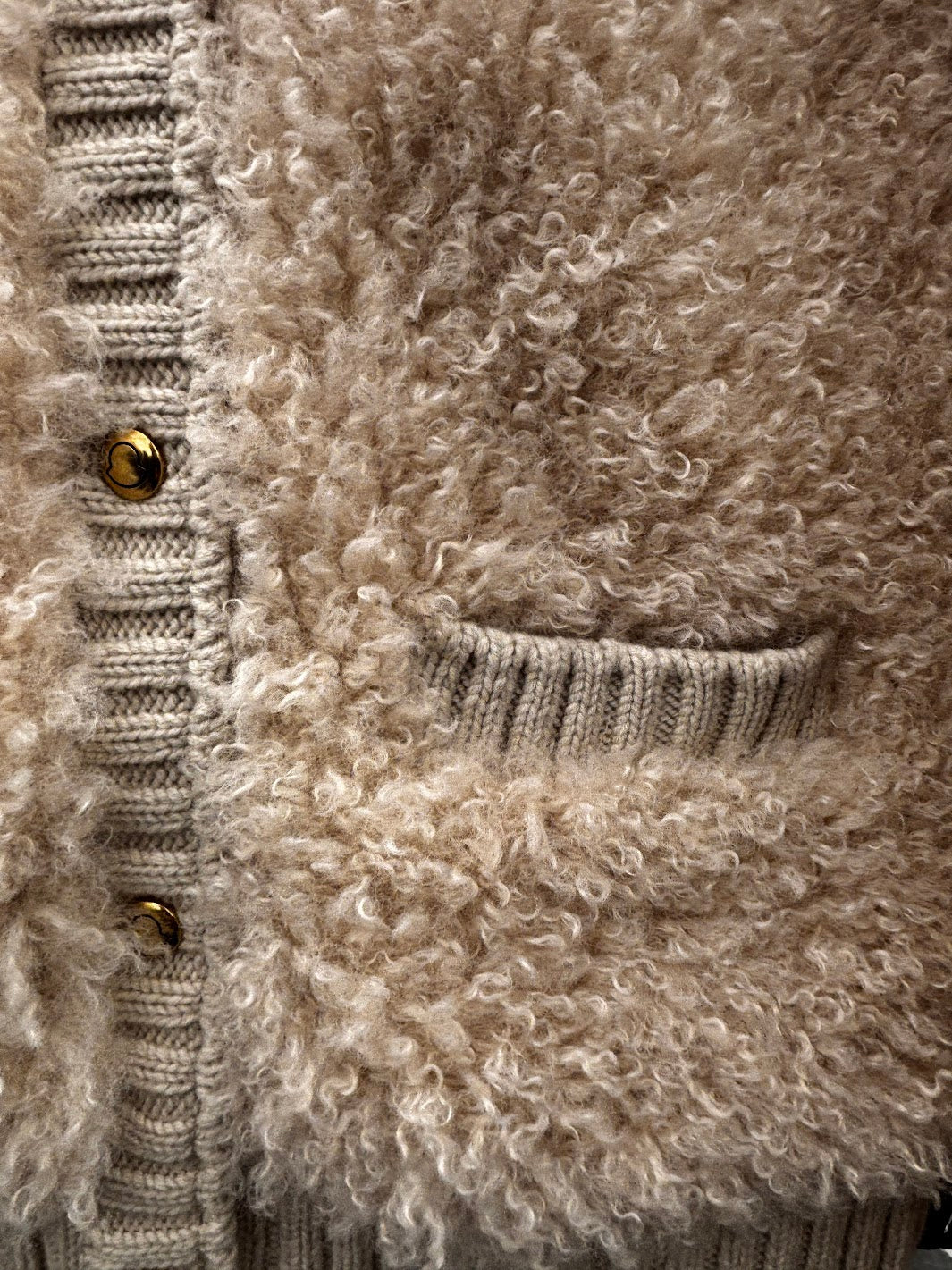 كارديجان مونكلر المبطن من الصوف والدب 